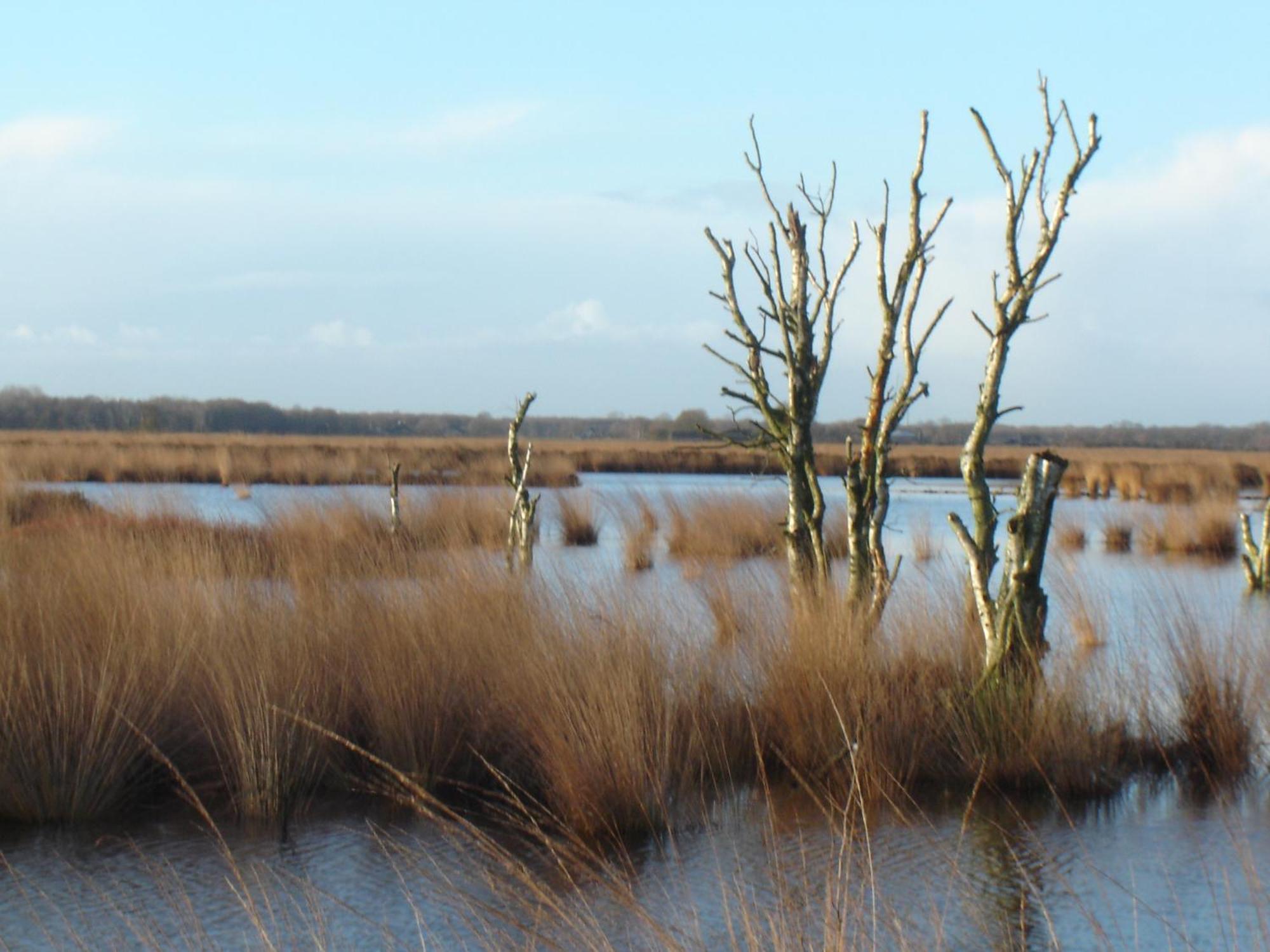 Hotel Bitter En Zoet Veenhuizen Esterno foto