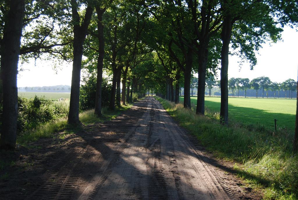 Hotel Bitter En Zoet Veenhuizen Camera foto